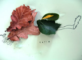 leaf_animal4